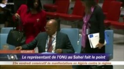 Le représentant de l'ONU au Sahel Mohamed Ibn Chambas déplore une crise humanitaire sans précédent