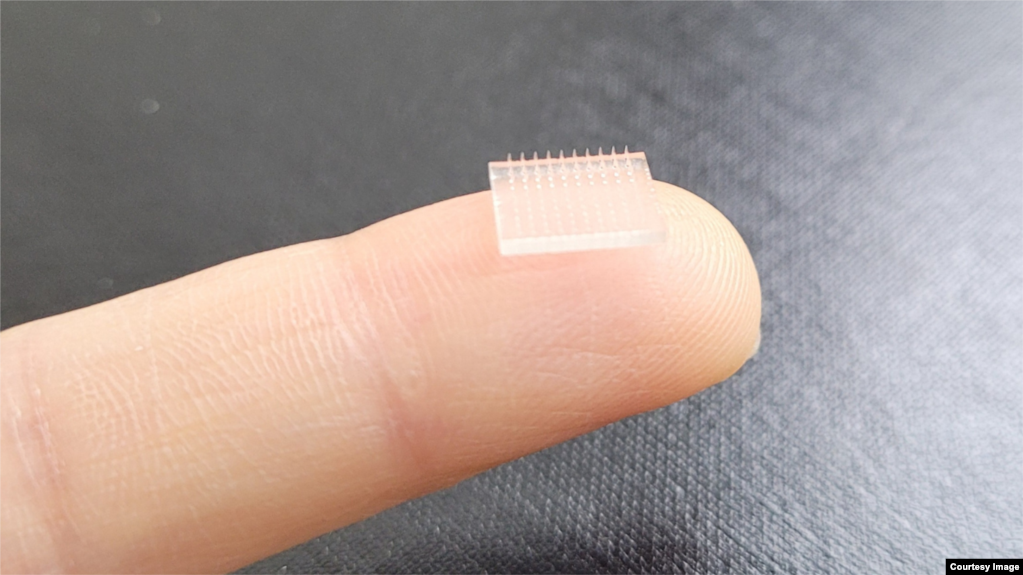 Cientistas da Universidade de Stanford e da Universidade da Carolina do Norte em Chapel Hill usaram a tecnologia de impressão 3D para criar um adesivo de vacina.  (Crédito da foto: Universidade da Carolina do Norte em Chapel Hill)