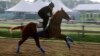 'Vanilla' Preakness Still Has Intrigue Without Derby Winner