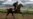 'Vanilla' Preakness Still Has Intrigue Without Derby Winner