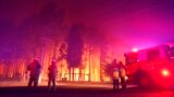 FILE - Firefighters battle a wildfire at Wooroloo, near Perth, Australia, Feb. 1, 2021. 