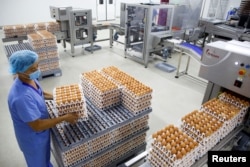 Un hombre trabaja en una máquina que prepara huevos de gallina para incubar en el criadero de Huayu en Handan, provincia de Hebei, China, junio 25, 2018.