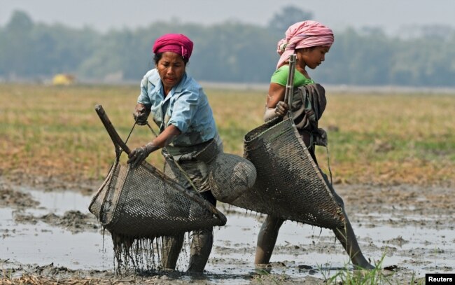 Subsistence fisherwomen, like these women from the Tiwa tribe in India, are often the foundation of food security in some of the world’s poorest communities.
