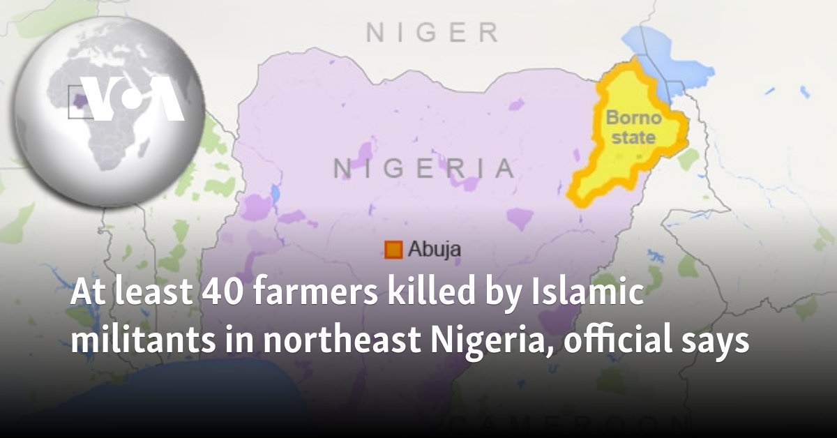 At least 40 farmers killed by Islamic militants in northeast Nigeria, official says