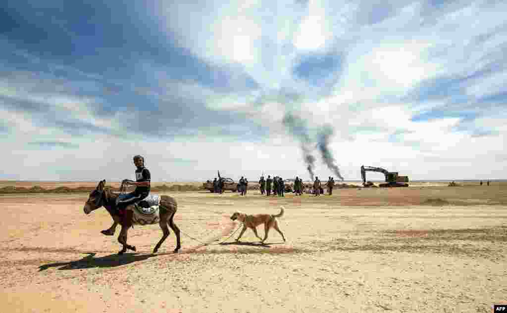 Seorang pemuda Irak mengungsi dengan naik keledai diikuti oleh anjingnya di Hatra, barat daya Mosul.