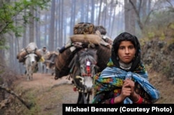 Seventeen-year-old Mariam leads her family's caravan through the foothills of the Himalayas, while carrying her 2-year-old niece in a shawl.
