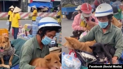 Vụ giết đàn chó ở Cà Mau: dư luận lên án, chính quyền nói 'làm đúng'