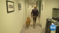 New K9 Unit Helps Crime Fighters Cope