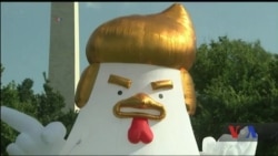 "Курча Дон" - повітряна скульптура схожа на Трампа навідалася до Білого дому. Відео