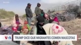 La polémica frase de Trump: “Los migrantes comen mascotas”