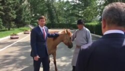 ԱՄՆ-ի պաշտպանության նախարարին Մոնղոլիայում ձի են նվիրել