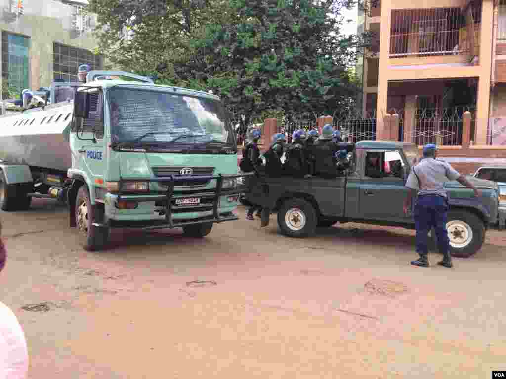 Izimota zamapholisa ...