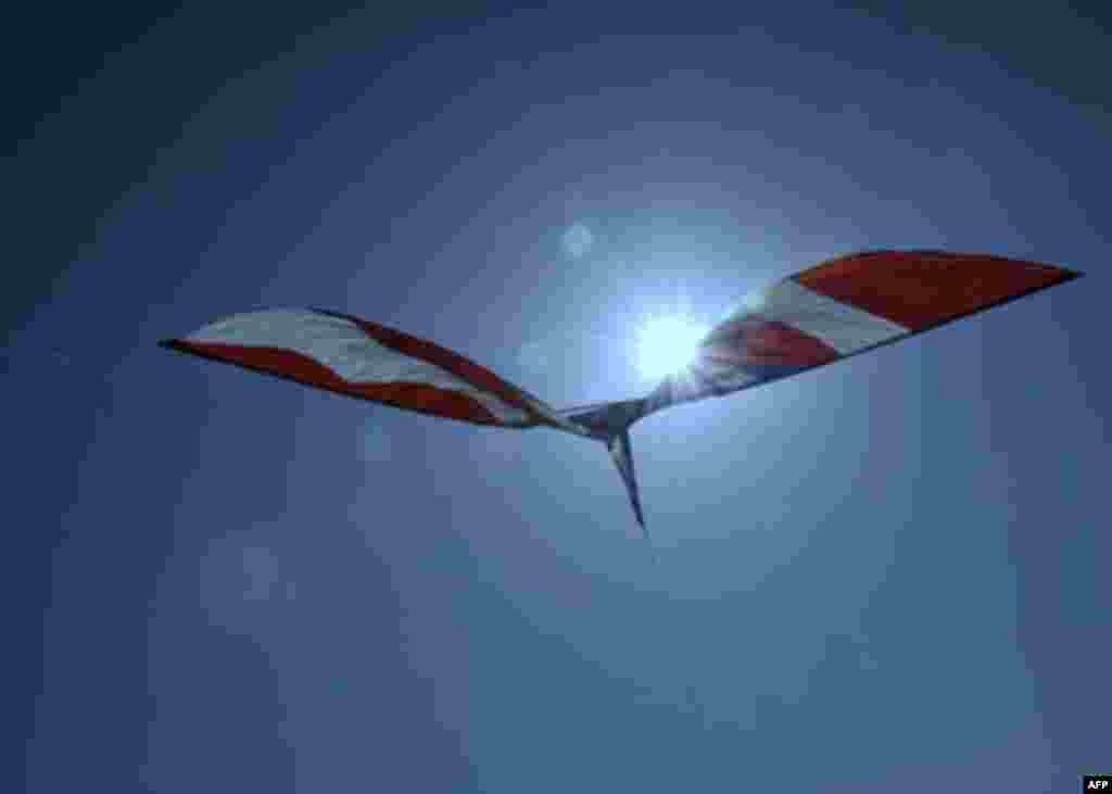 Змеи над городом… воздушные