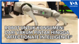 Robot untuk Konsumen: dari Vakum Pintar hingga "Affectionate Intelligence"