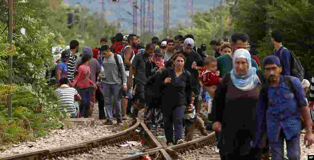 Macedonia Migrants