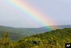 A view over part of the ecologically diverse ‘Albany Hotspot’ in South Africa’s Eastern Cape province