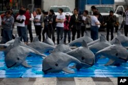 FILE - Papier mache replicas of the critically endangered porpoise known as the vaquita marina are displayed during an event in front of the National Palace calling on the Mexican government to take additional steps to protect the world's smallest marine mammal, in Mexico City, July 8, 2017.