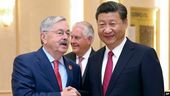 资料照:美国驻中国大使布兰斯塔与中国国家主席习近平。(2017年9月30日)
