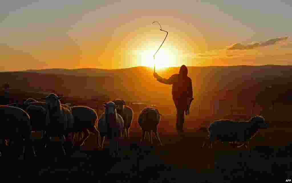 A shepherd boy is silhouetted in Qunu, a rural village where former South African President Nelson Mandela grew up.