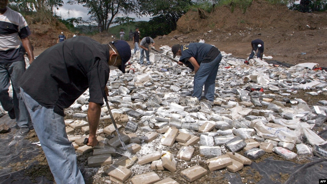 Autoridades de Estados Unidos estiman que hasta un 80% de la droga que llega procedente de los países andinos atraviesa Centroamérica. En la imagen policías y fiscales destruyen cargamento de droga decomisado en Panamá. [Foto archivo]