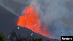 Palomas vuelan al amanecer frente a la lava y el humo, tras la erupción de un volcán en la isla canaria de La Palma, en El Paso, España, el 28 de septiembre de 2021. REUTERS / Jon Nazca