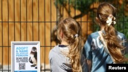 FILE—Visitors stand next to a notice board as they look at birds on display at South African Foundation for the Conservation of Coastal Birds rehabilitation center.