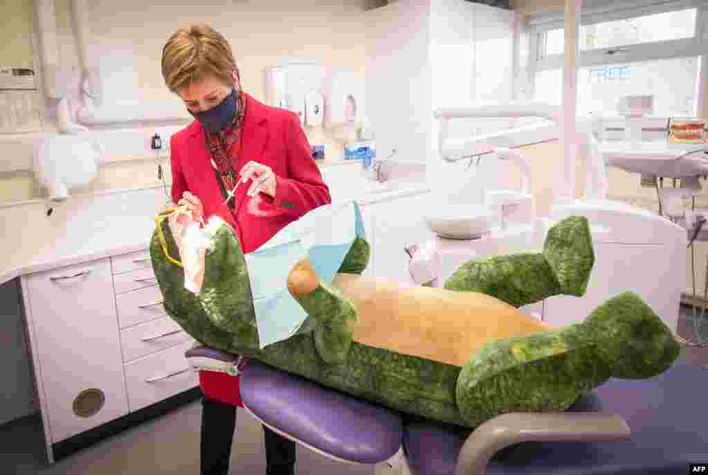 Scotland&#39;s First Minister and leader of the Scottish National Party, Nicola Sturgeon, checks the teeth of &quot;Dentosaurus&quot; during a visit to the Thornliebank Dental Care centre in Glasgow, as she campaigns ahead of the 2021 Scottish Parliamentary Election. 