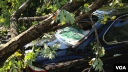 A car hit by a tree in the storm, Bethesda, Maryland, July 1, 2012. (G. Conway/VOA)