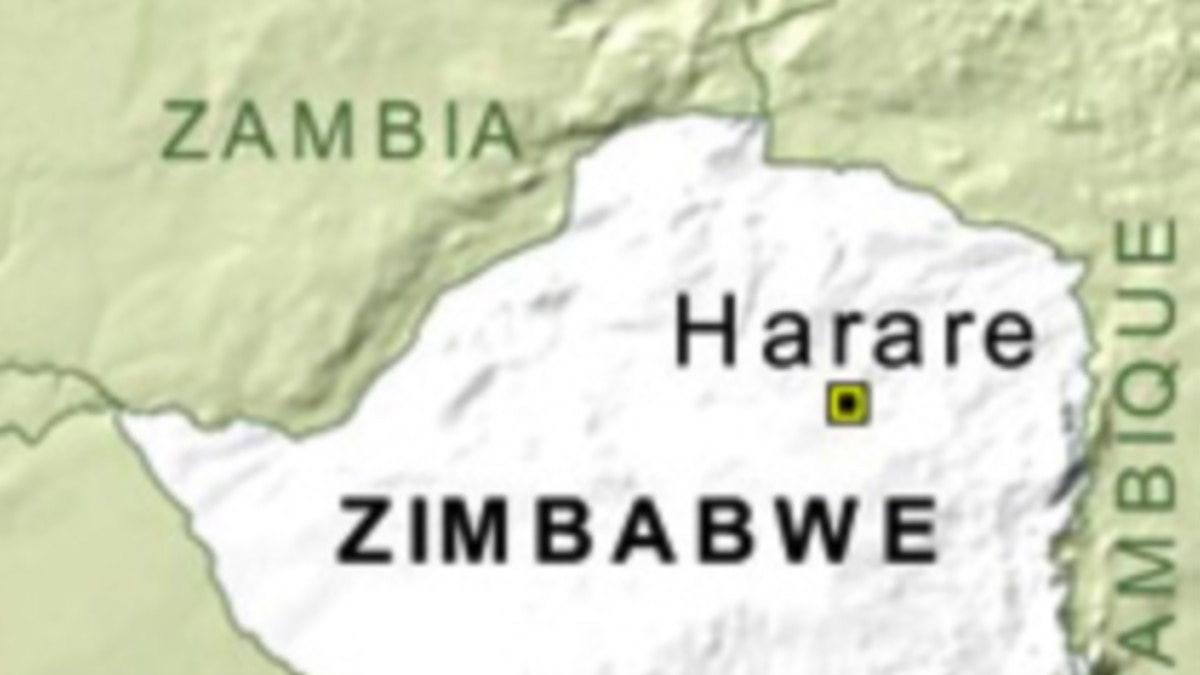 Zimbabwean NGOs Urge Region, African Union to Intervene to Stop Violence