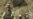 Veterans of Iraq, Afghan Conflicts Differ on US Role Abroad