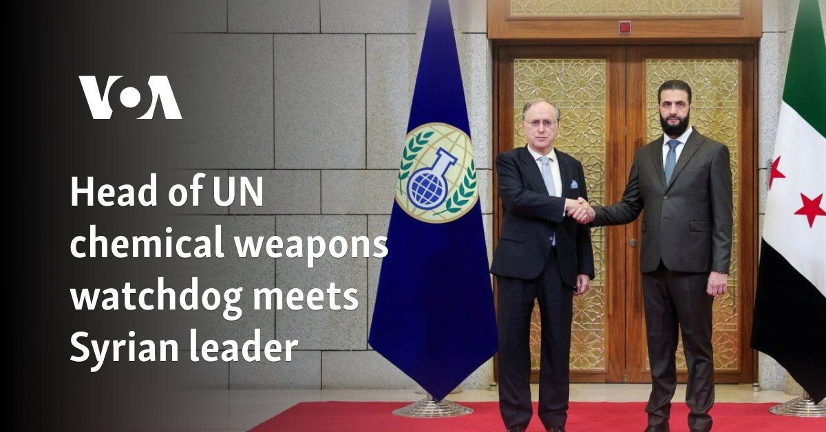 Head of UN chemical weapons watchdog meets Syrian leader