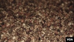 FILE - Coffee beans. (D. Schearf/VOA)