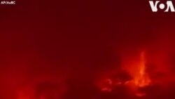 Ավստրալիայում անտառային հրդեհները շարունակվում են