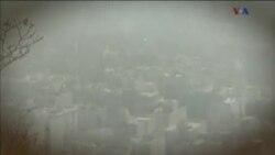 اخبار شامگاهی