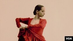 Seorang penari flamenco, tarian yang berasal dari Andalusia, Spanyol selatan.