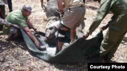 (Mifananidzo kubva kuAware Trust Zimbabwe)