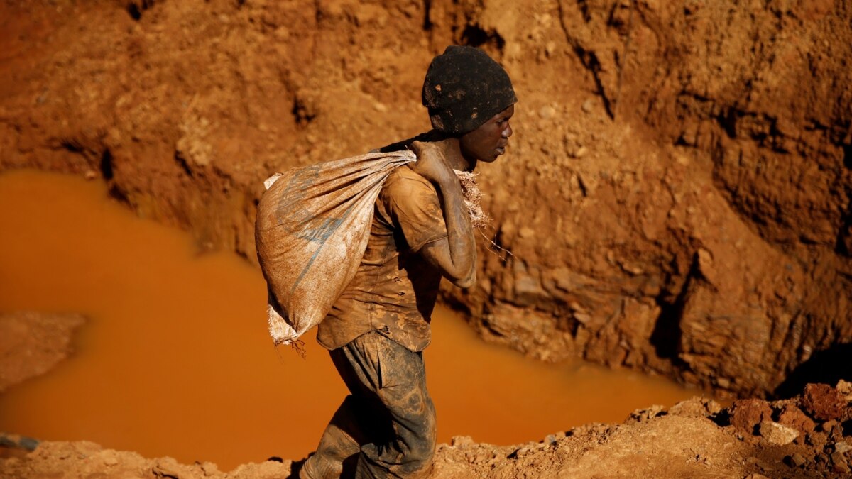 Transparency International Says Zimbabwe Should Investigate Gold Smuggling Scam Linked to Mnangagwa - Vimarsana News