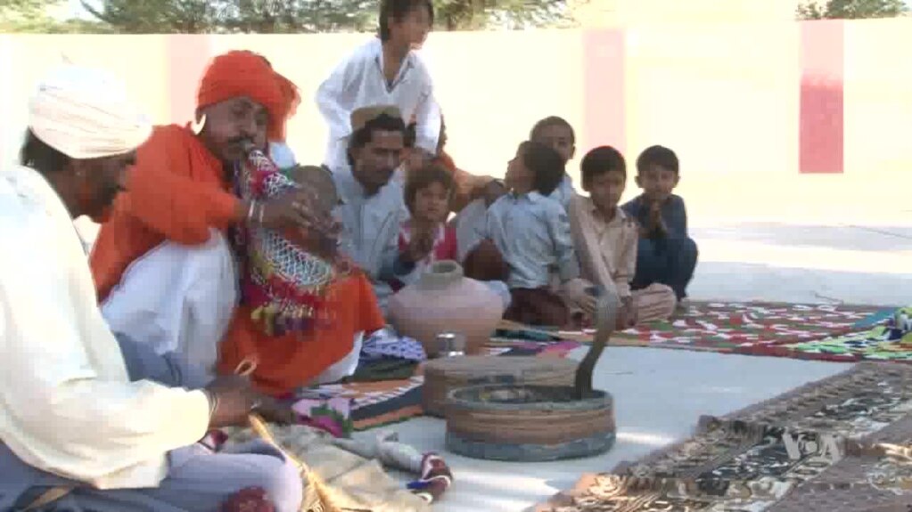 Pakistan's Snake Charmers Describe Initiation Process Pakistan's Snake Charmers Describe Initiation Process