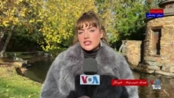 موج حملات سایبری در ژاپن؛ شرکت‌های بزرگ به مشتریان غرامت می‌پردازند

