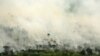 Kebakaran hutan tampak dari udara di Desa Muara Medak, Musi Banyuasin, Sumatra Selatan, 29 Juli 2018. (Foto: Reuters)