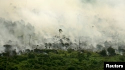 Kebakaran hutan tampak dari udara di Desa Muara Medak, Musi Banyuasin, Sumatra Selatan, 29 Juli 2018. (Foto: Reuters)