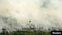 Kebakaran hutan tampak dari udara di Desa Muara Medak, Musi Banyuasin, Sumatra Selatan, 29 Juli 2018. (Foto: Reuters)