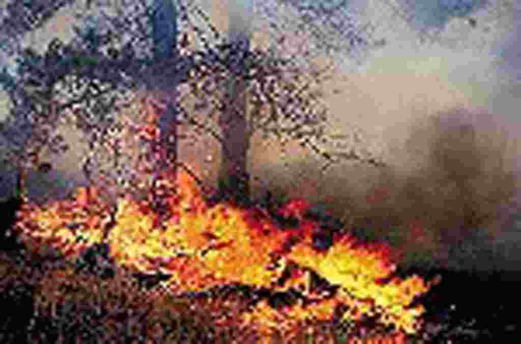 جمعه دهم دسامبر - هفته ای که گذشت به روایت تصویر