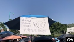 參與”屯門公園再光復”遊行的屯門居民林小姐，高舉自己製作的”連豬”標語，寓意不理政治的”港豬”都已經覺醒，爭取自己的權利。(攝影: 美國之音湯惠芸）