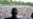 Liberian Opposition Party Threatens to Boycott Presidential Run-Off
