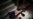 16x9 Image