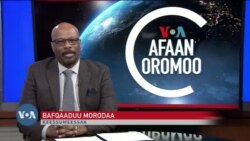 Tamsaasa Guyaadhaa Guyyaa