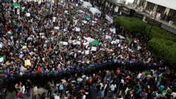 Des activistes et opposants interpellés à Alger