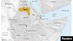 Konflik yang meningkat di wilayah Tigray yang bergolak di Ethiopia, telah menewaskan ratusan orang, kata sumber di pihak pemerintah. Gejolak di wilayah utara yang berbatasan dengan Eritrea dan Sudan mengancam kestabilan negara terpadat kedua di Afrika ini.