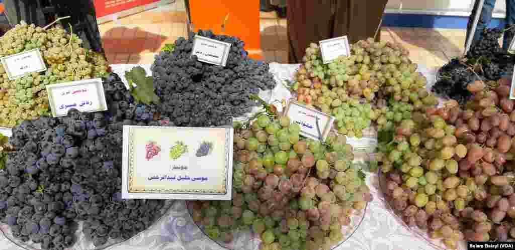 Festîvala Tirî li Duhok